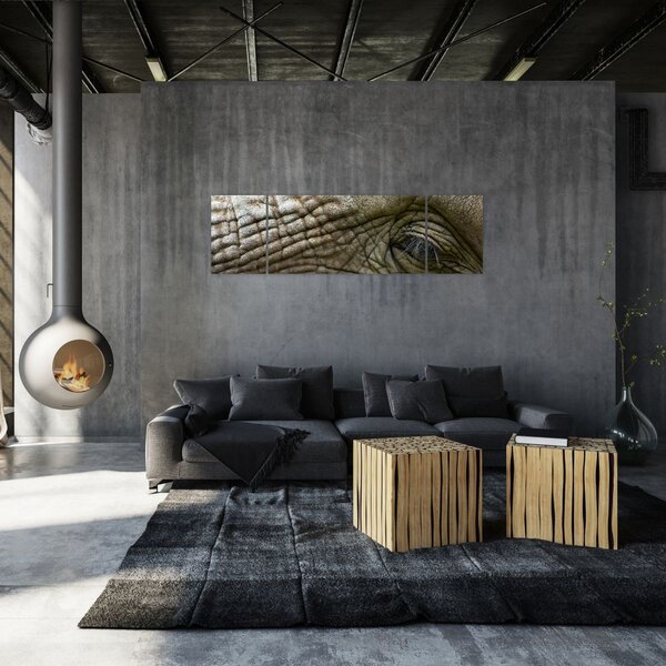 Obraz - Zbliżenie na stare oko słonia (170x50 cm)