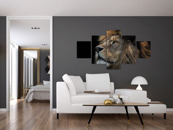 Obraz - Majestatyczny lew (125x70 cm)