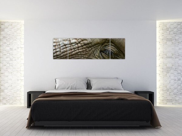Obraz - Zbliżenie na stare oko słonia (170x50 cm)