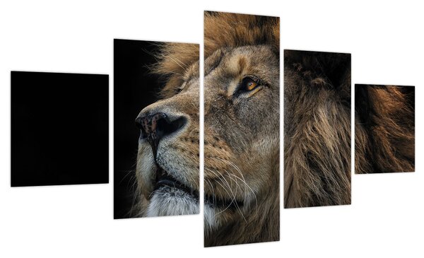 Obraz - Majestatyczny lew (125x70 cm)