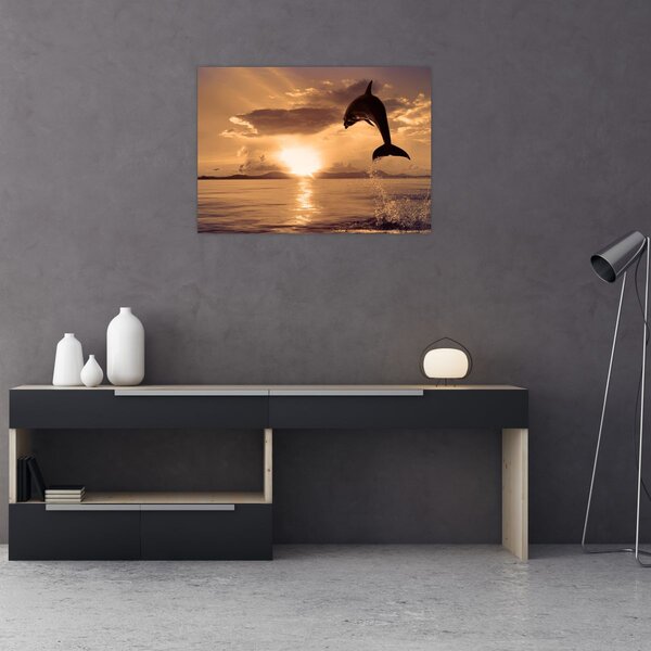 Obraz - Delfin o zachodzie słońca (70x50 cm)