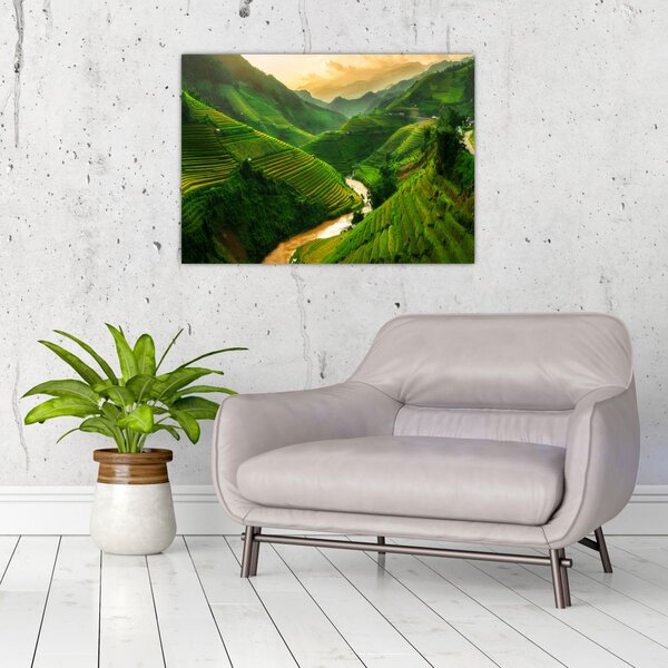 Obraz - Tarasy ryżowe Mu Cang Chai (70x50 cm)