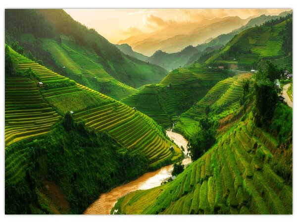 Obraz - Tarasy ryżowe Mu Cang Chai (70x50 cm)