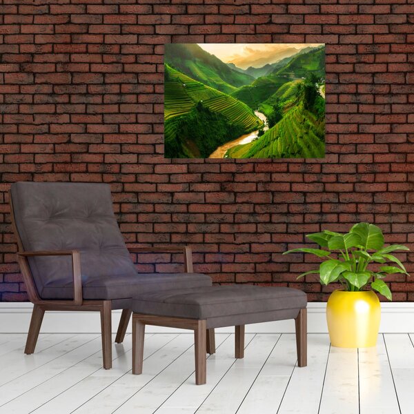 Obraz - Tarasy ryżowe Mu Cang Chai (70x50 cm)