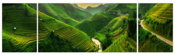 Obraz - Tarasy ryżowe Mu Cang Chai (170x50 cm)
