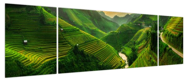 Obraz - Tarasy ryżowe Mu Cang Chai (170x50 cm)