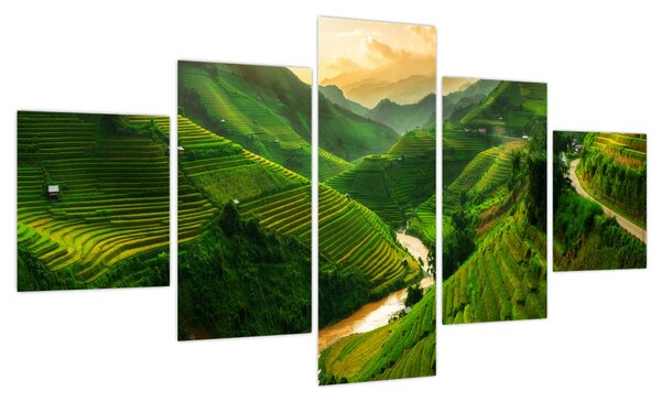 Obraz - Tarasy ryżowe Mu Cang Chai (125x70 cm)