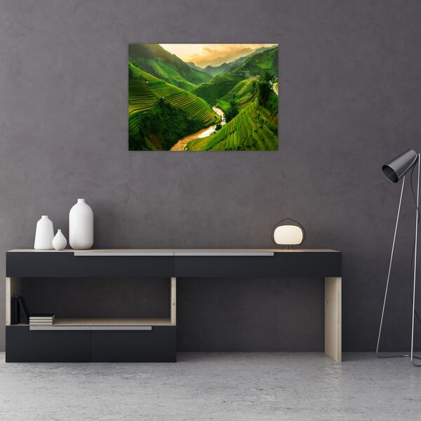 Obraz - Tarasy ryżowe Mu Cang Chai (70x50 cm)