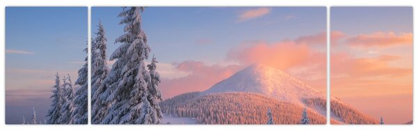 Obraz - Zimowy krajobraz (170x50 cm)