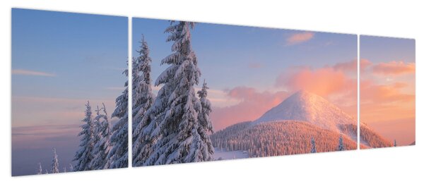 Obraz - Zimowy krajobraz (170x50 cm)