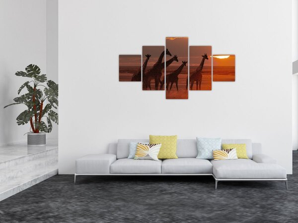 Obraz - Żyrafy na afrykańskiej sawannie (125x70 cm)