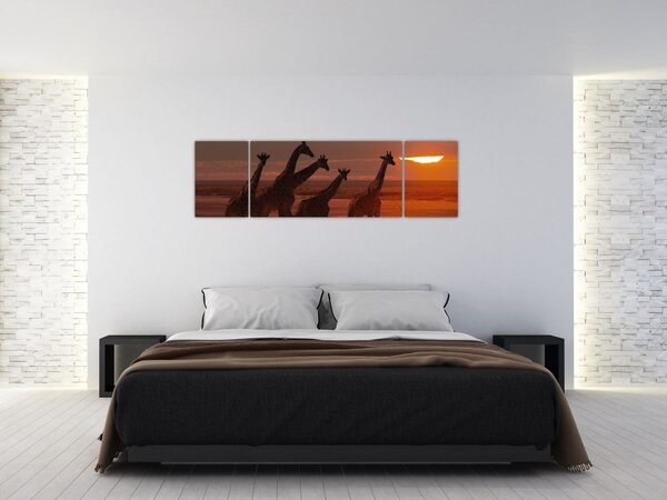Obraz - Żyrafy na afrykańskiej sawannie (170x50 cm)