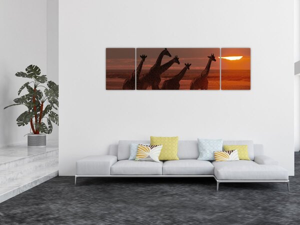 Obraz - Żyrafy na afrykańskiej sawannie (170x50 cm)