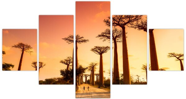 Obraz - Zachód słońca w Baobab Alley (125x70 cm)