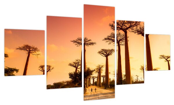 Obraz - Zachód słońca w Baobab Alley (125x70 cm)