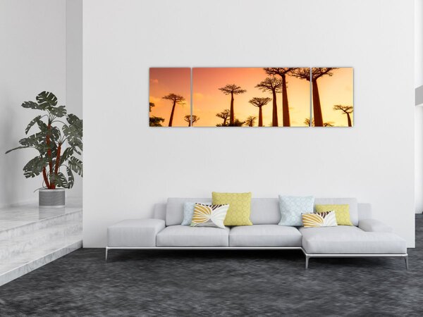 Obraz - Zachód słońca w Baobab Alley (170x50 cm)