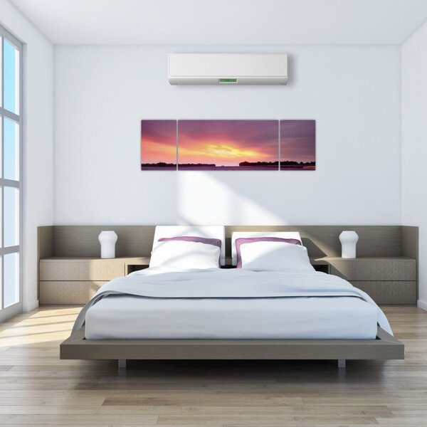 Obraz - Pole lawendy (170x50 cm)