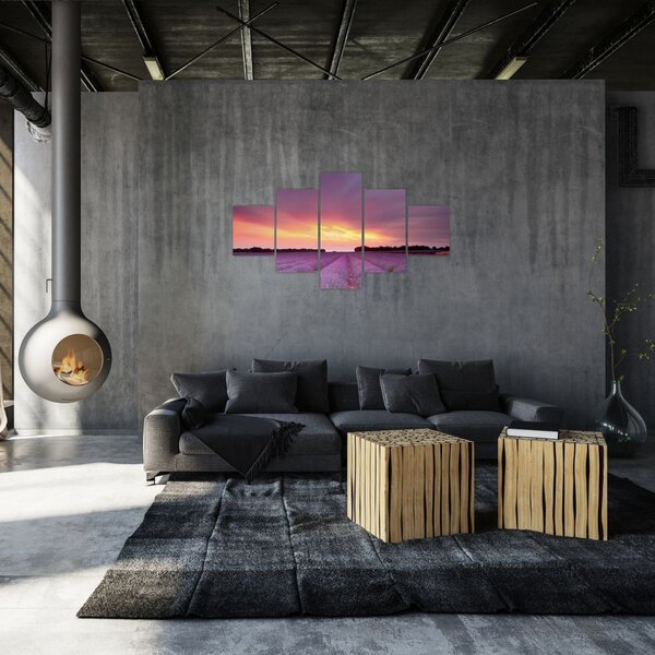 Obraz - Pole lawendy (125x70 cm)