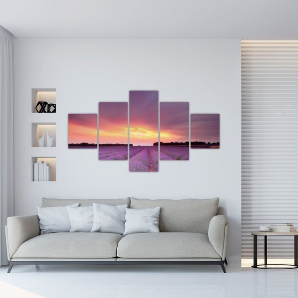Obraz - Pole lawendy (125x70 cm)