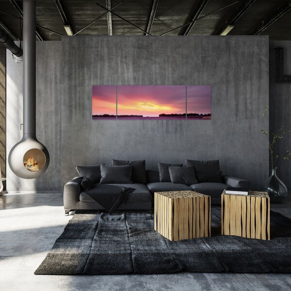 Obraz - Pole lawendy (170x50 cm)