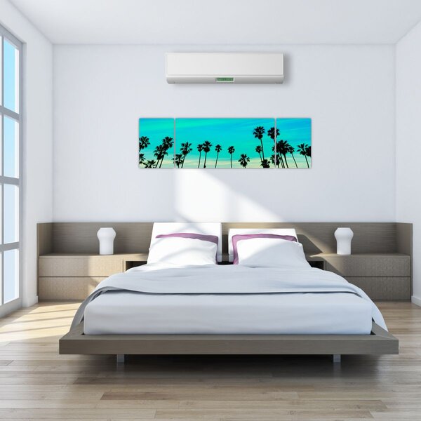 Obraz - Kalifornia (170x50 cm)