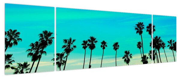 Obraz - Kalifornia (170x50 cm)