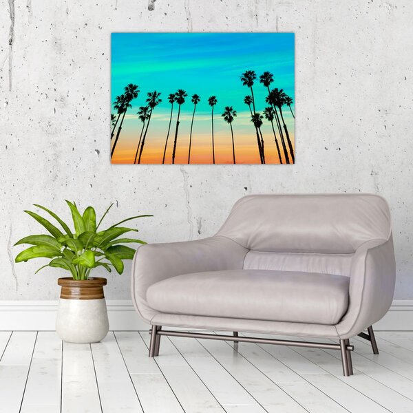 Obraz - Kalifornia (70x50 cm)