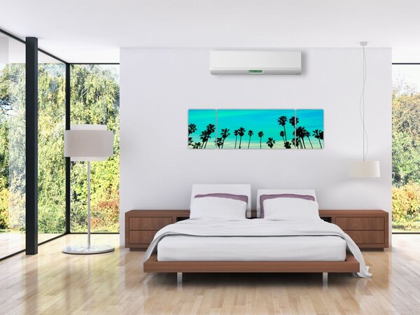 Obraz - Kalifornia (170x50 cm)