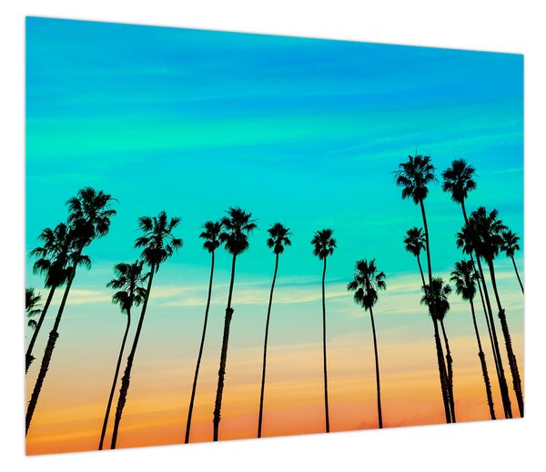 Obraz - Kalifornia (70x50 cm)