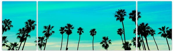 Obraz - Kalifornia (170x50 cm)