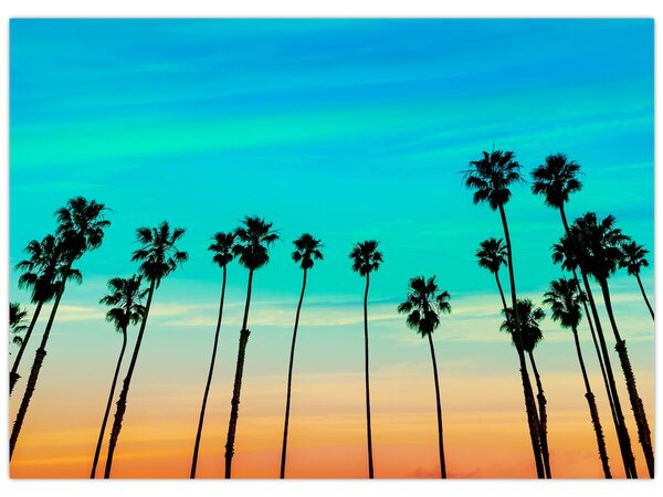 Obraz - Kalifornia (70x50 cm)
