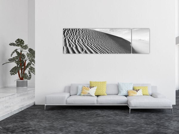 Obraz - Wydma piaskowa (170x50 cm)