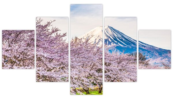 Obraz - Japonia wiosną (125x70 cm)