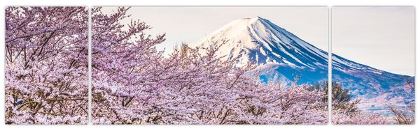Obraz - Japonia wiosną (170x50 cm)