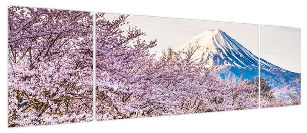 Obraz - Japonia wiosną (170x50 cm)