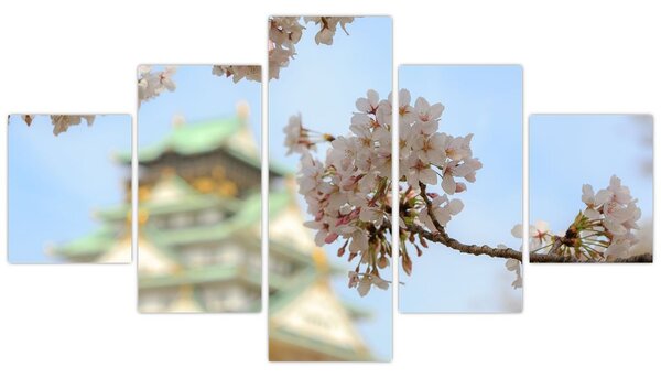 Obraz - Sakura (125x70 cm)