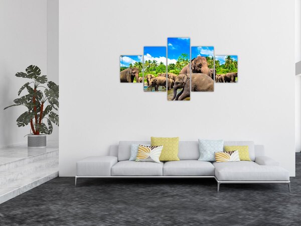 Obraz - Słonie, Sri Lanka (125x70 cm)