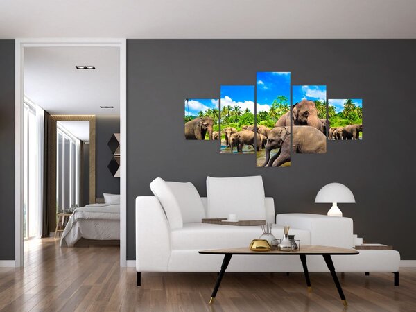 Obraz - Słonie, Sri Lanka (125x70 cm)