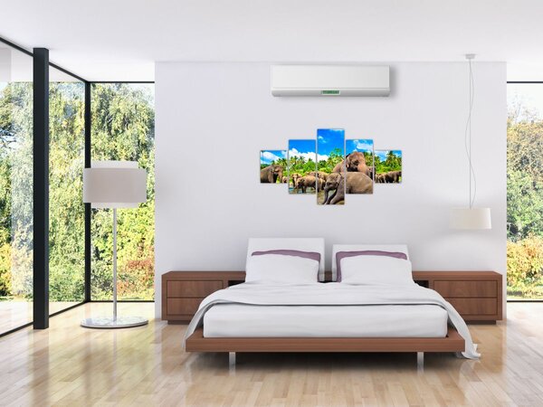 Obraz - Słonie, Sri Lanka (125x70 cm)