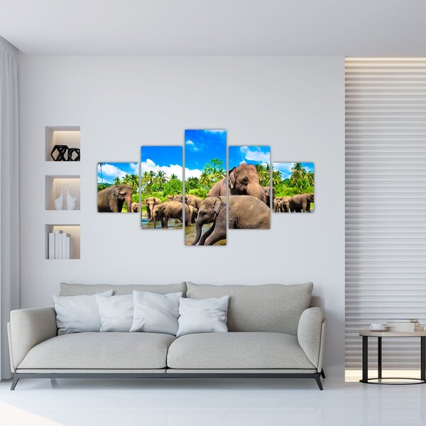 Obraz - Słonie, Sri Lanka (125x70 cm)