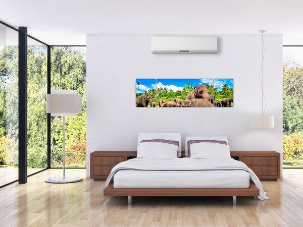 Obraz - Słonie, Sri Lanka (170x50 cm)