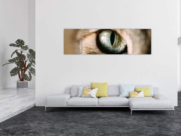 Obraz - Kocie oko (170x50 cm)