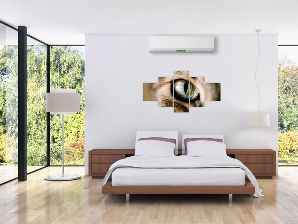 Obraz - Kocie oko (125x70 cm)