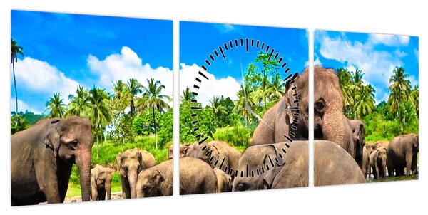 Obraz - Słonie, Sri Lanka (z zegarem) (90x30 cm)