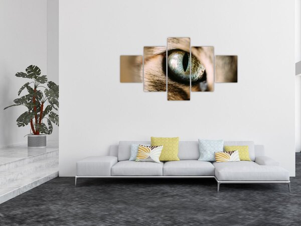 Obraz - Kocie oko (125x70 cm)