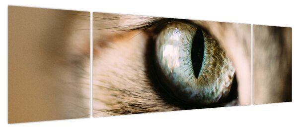 Obraz - Kocie oko (170x50 cm)