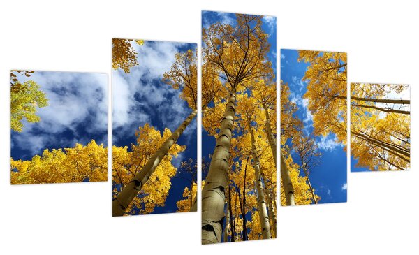 Obraz - Aspen (125x70 cm)