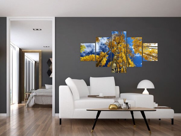 Obraz - Aspen (125x70 cm)