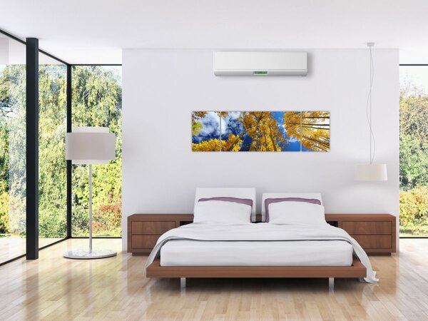Obraz - Aspen (170x50 cm)
