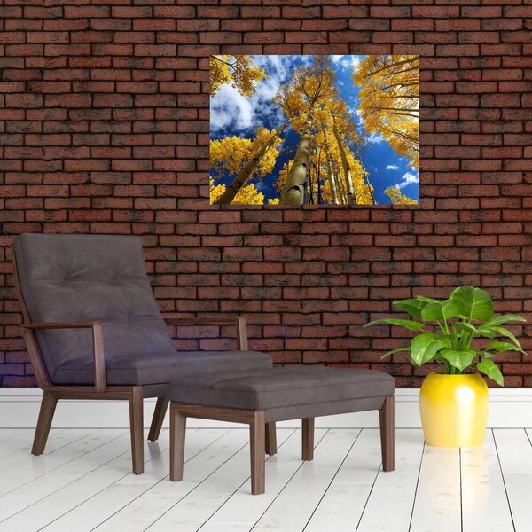 Obraz - Aspen (70x50 cm)